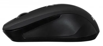  Acer OMR010 [ZL.MCEEE.005]  Mouse wireless USB (2but) black