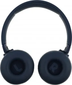  JBLT670NCBLU 