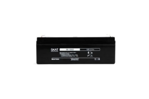   SKAT SB 12022 ( : 2539)