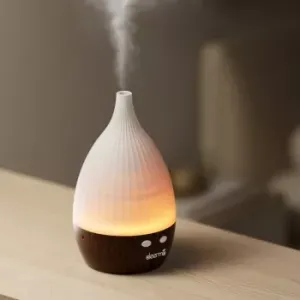   Deerma PX300W () /