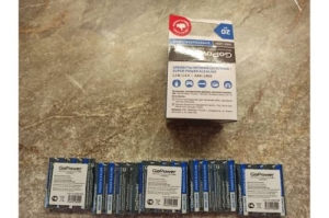  GoPower LR03 AAA Alkaline 1.5V (20 )
