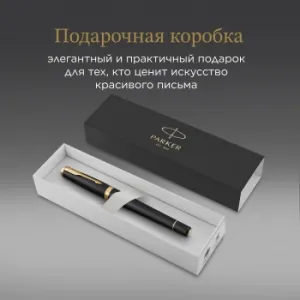   Parker Urban Core F309 (1931593) Muted Black GT F    ..