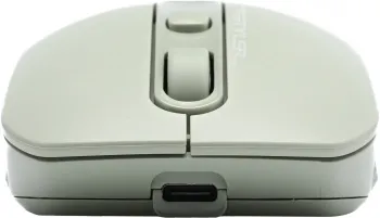  A4Tech Fstyler FB10C   (2400dpi)  BT/Radio USB (4but)