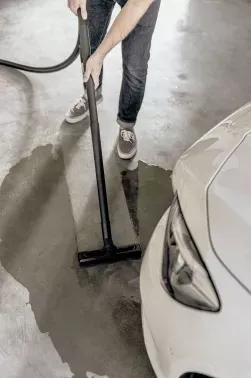   Karcher WD 2 Plus V-12/4/18 1000 (: / ) 