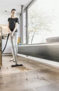   Karcher WD 2 Plus V-12/4/18 1000 (: / ) 