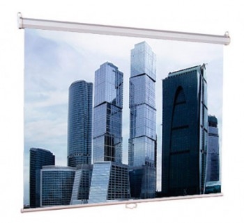 Экраны LUMIEN Eco Picture LEP-100101, 150х150 см, 1:1